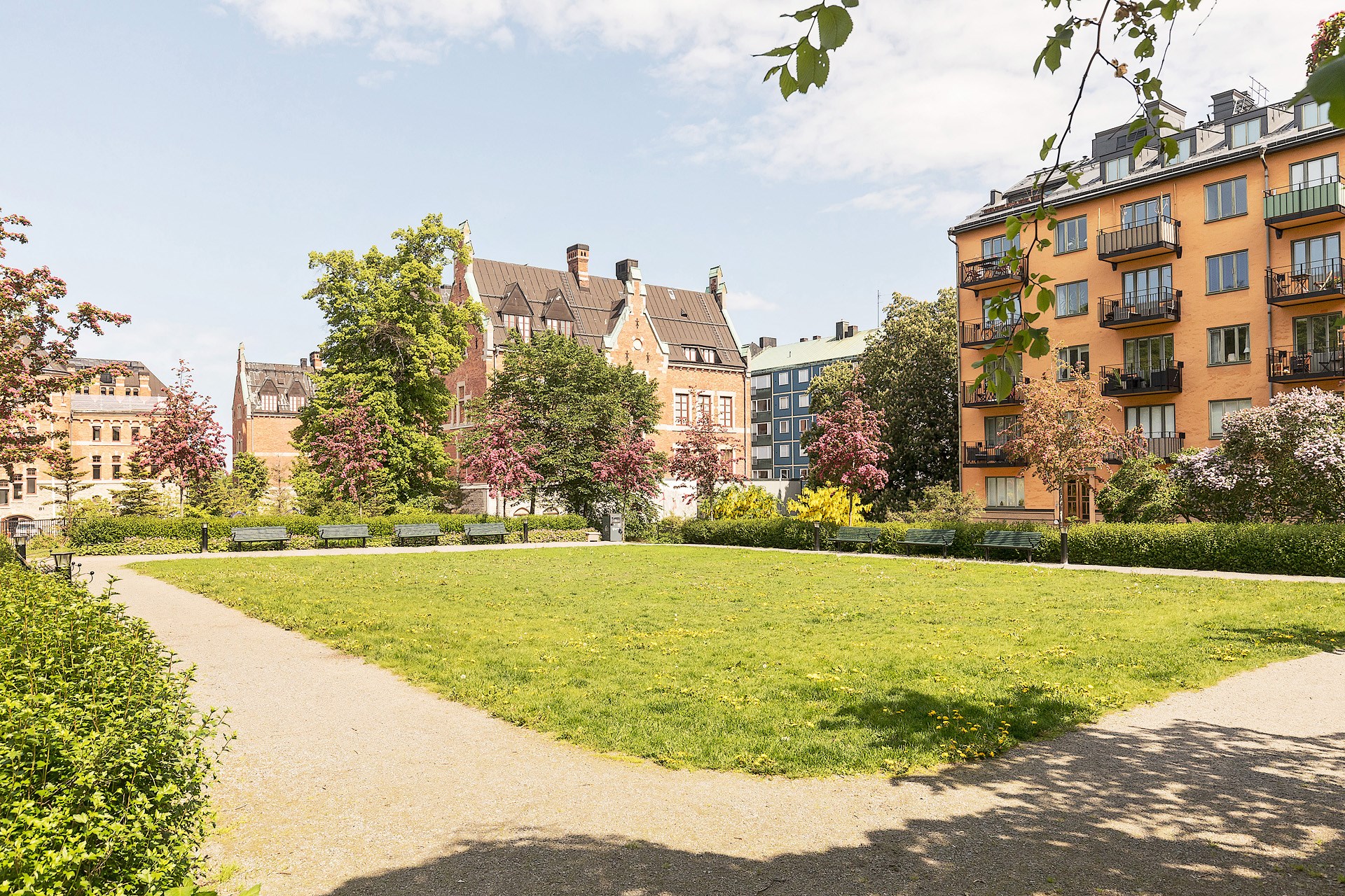 Fantastisk grönska direkt utanför porten Roslagsgatan 51