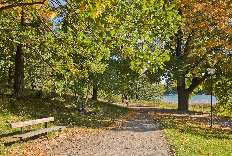 Hagaparken Västmannagatan 83A