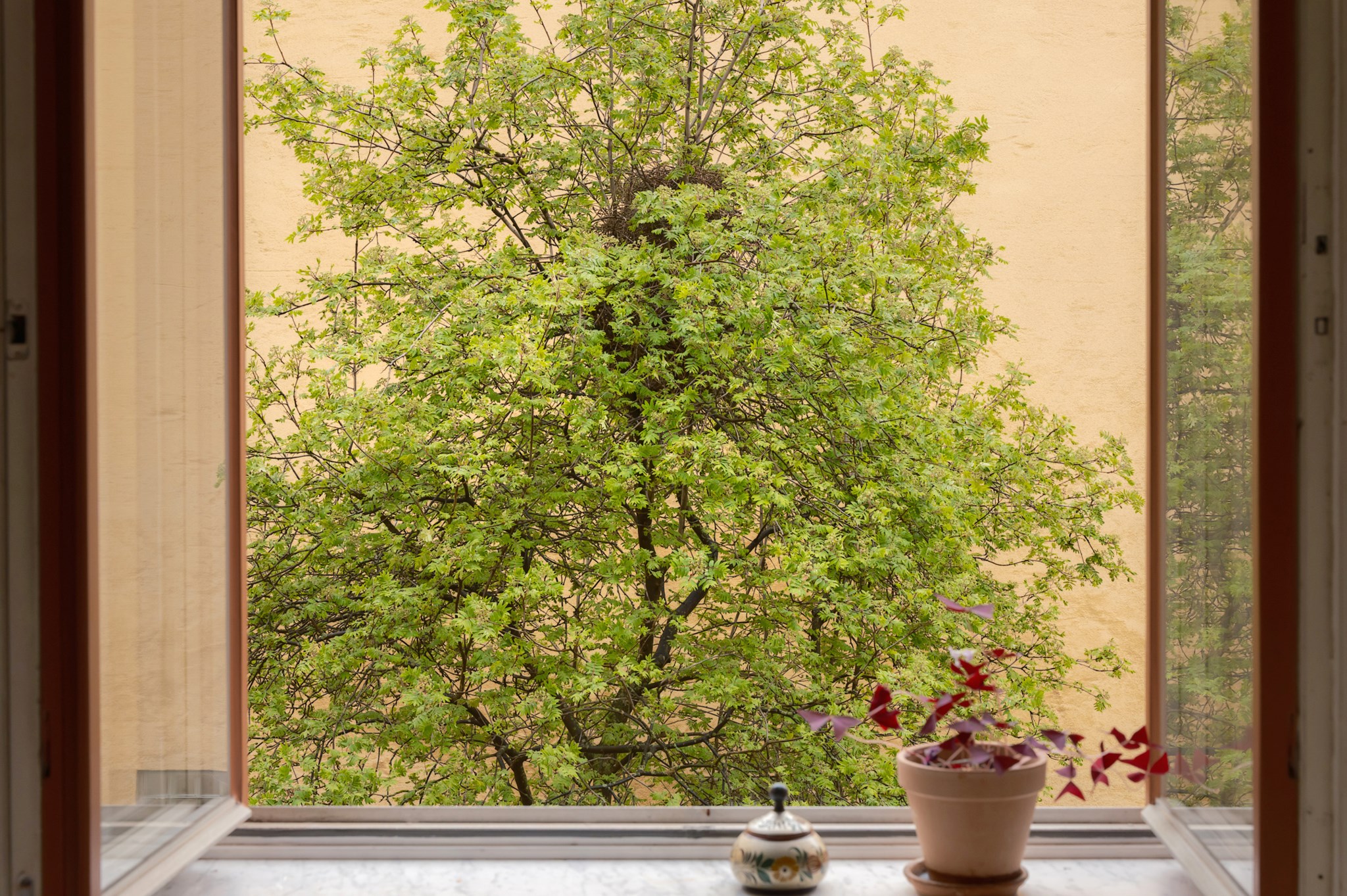  Surbrunnsgatan 40A, 2tr