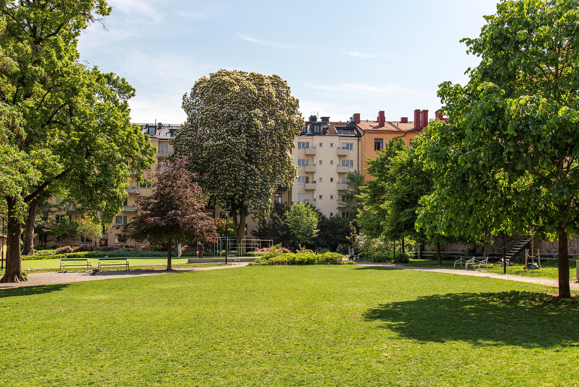 Gå ut i parken direkt från huset Frejgatan 36A, 4tr