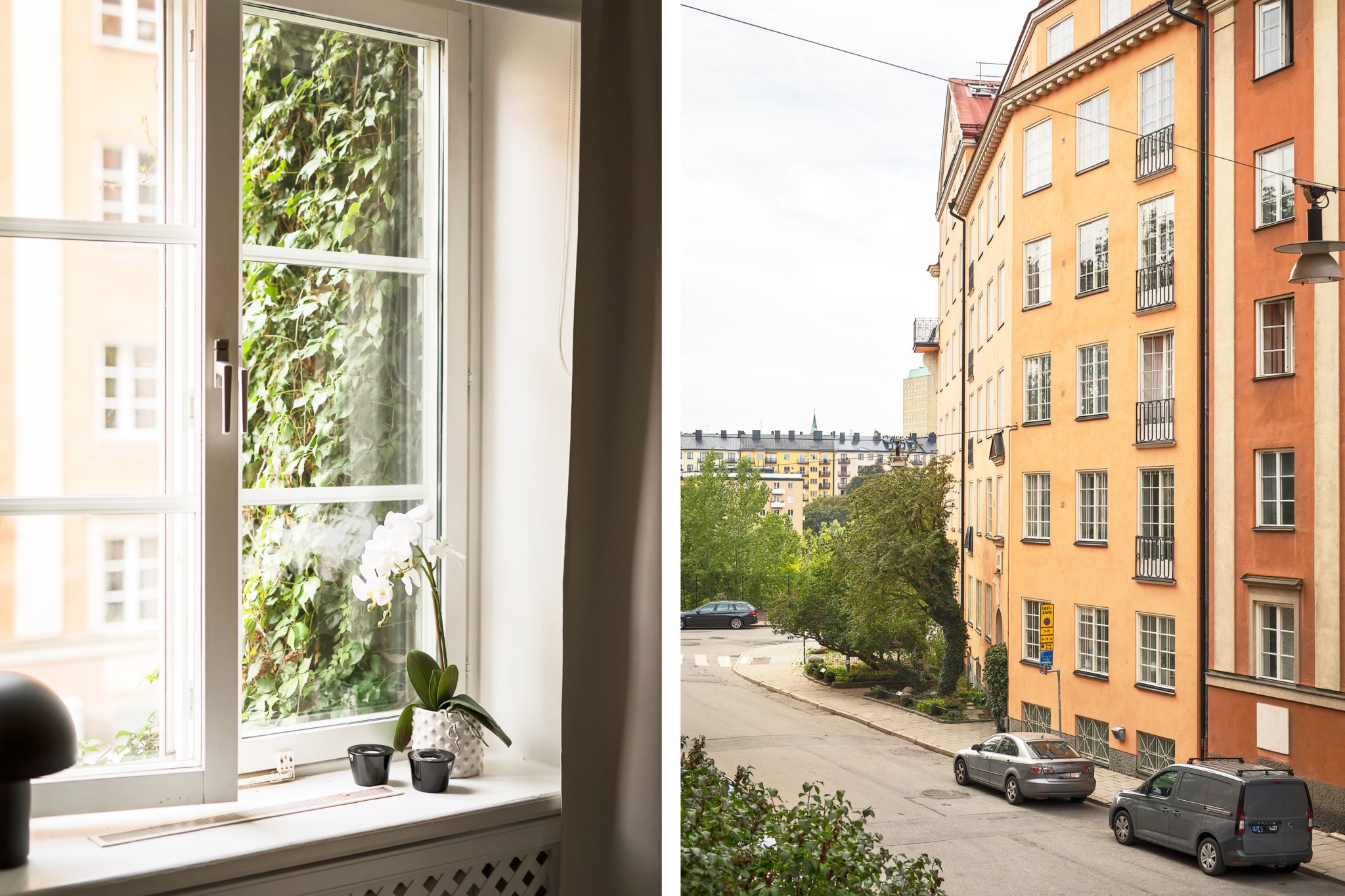 Grönska utanför fönstret - Högt läge Drejargatan 6