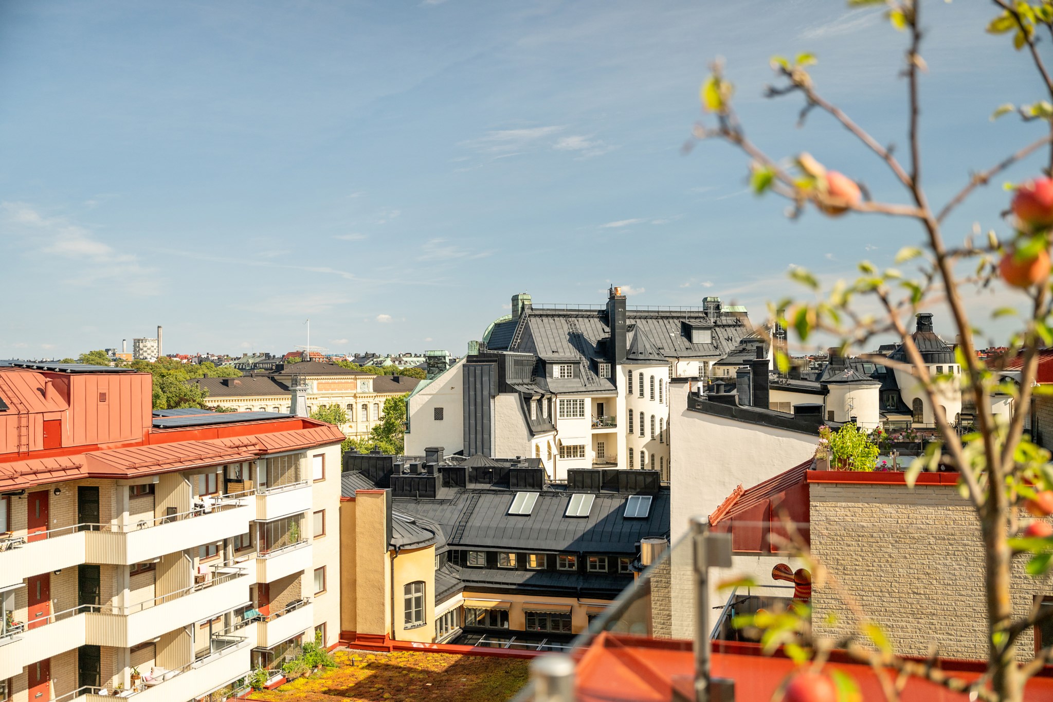 Vacker utsikt mot Kungliga biblioteket och Humlegården Regeringsgatan 70C