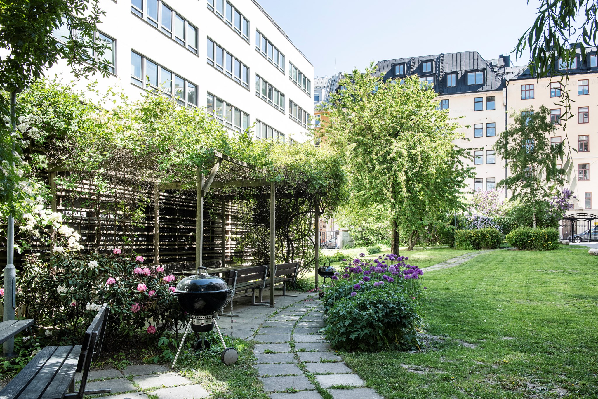 Föreningens lummiga gård att njuta av Norrtullsgatan 38