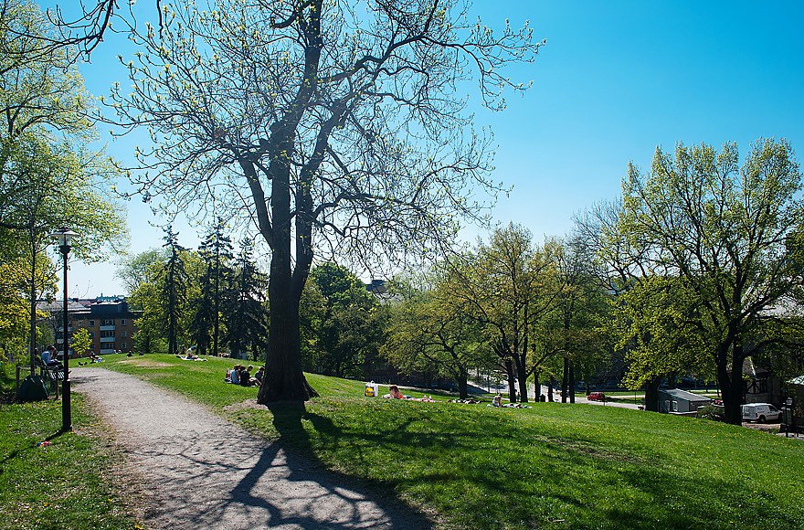 Vanadisparken Frejgatan 22