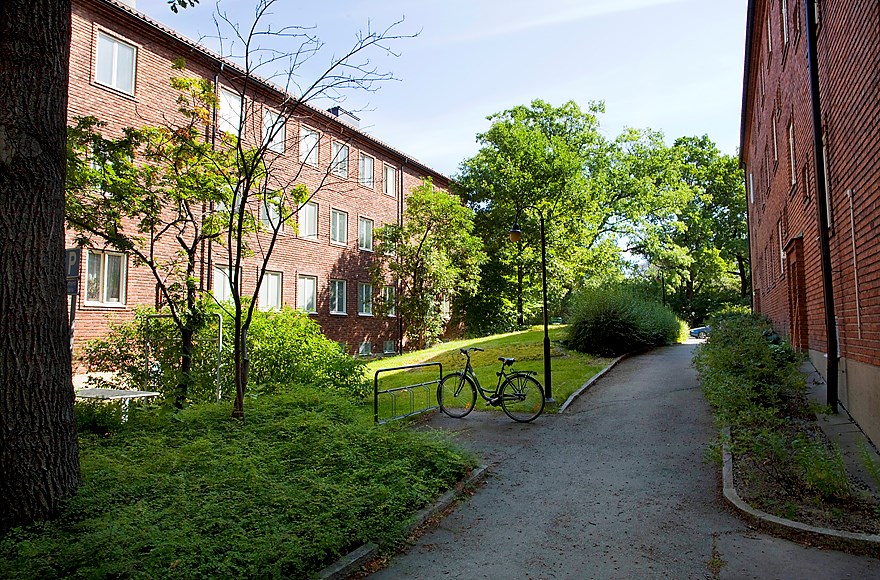 Grönska utanför porten Geijersvägen 19