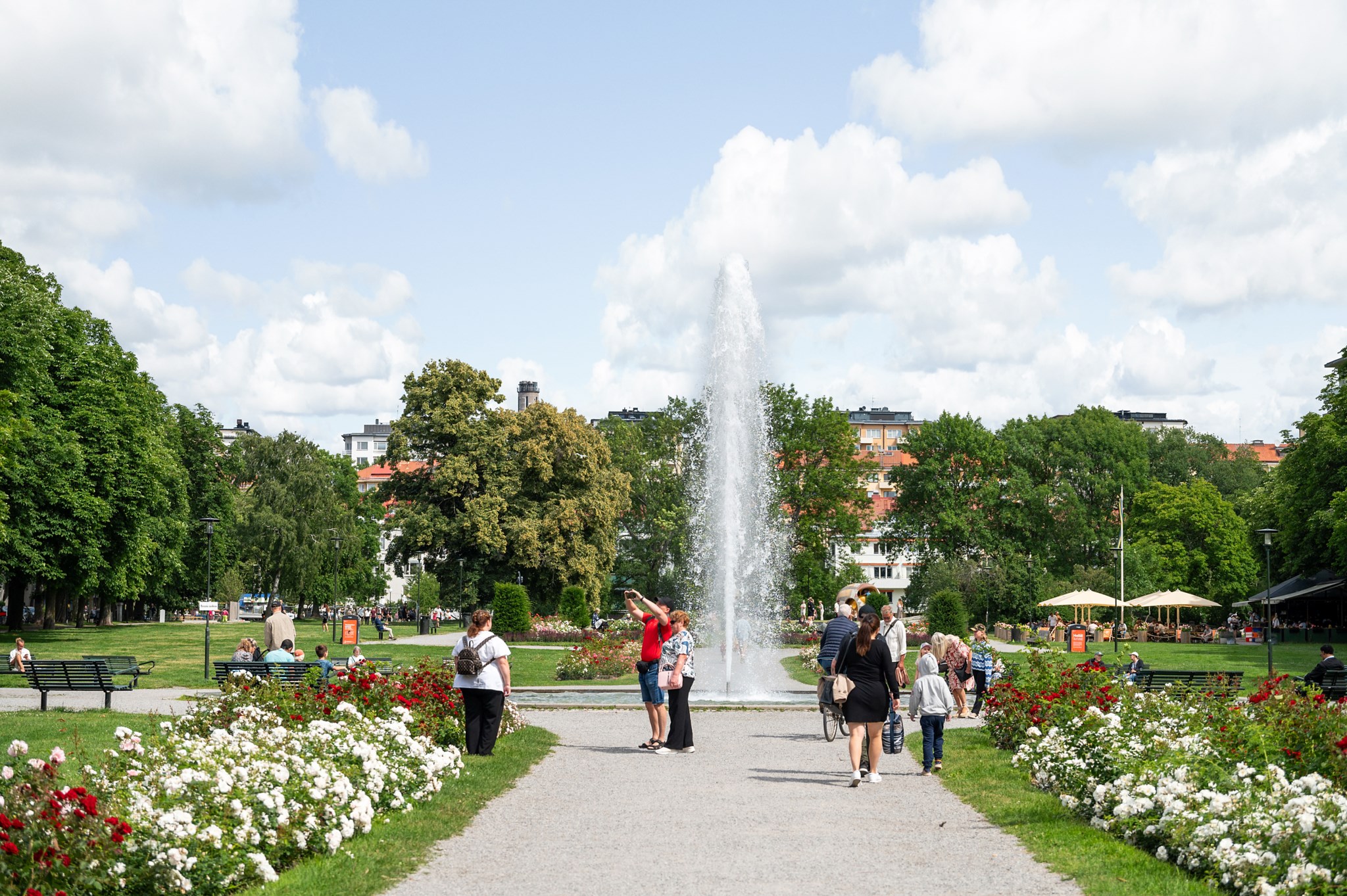 Vackra Tessinparken Skeppargatan 100