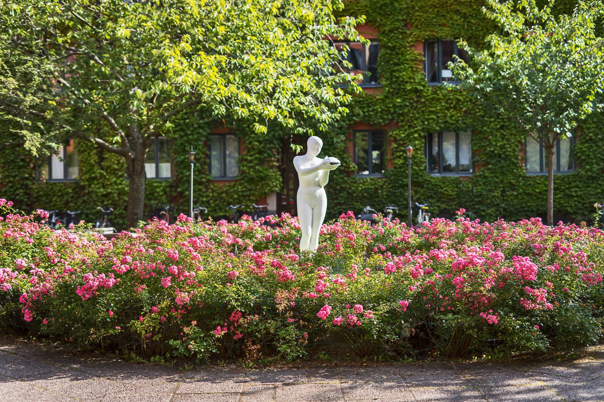 Lummig och blomstrande innergård Alströmergatan 32U, 2tr