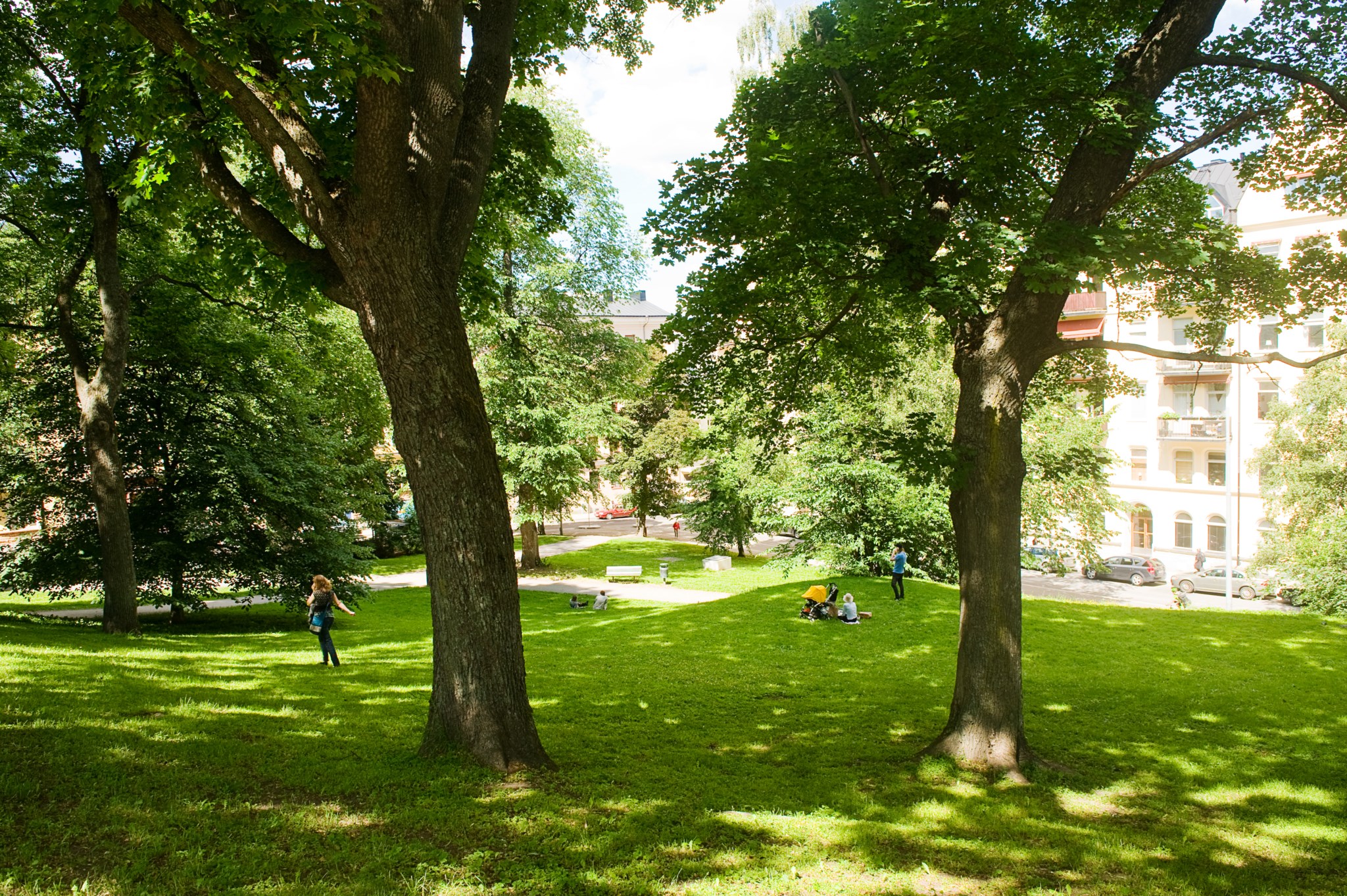 Kronobergsparken sommar Parkgatan 6