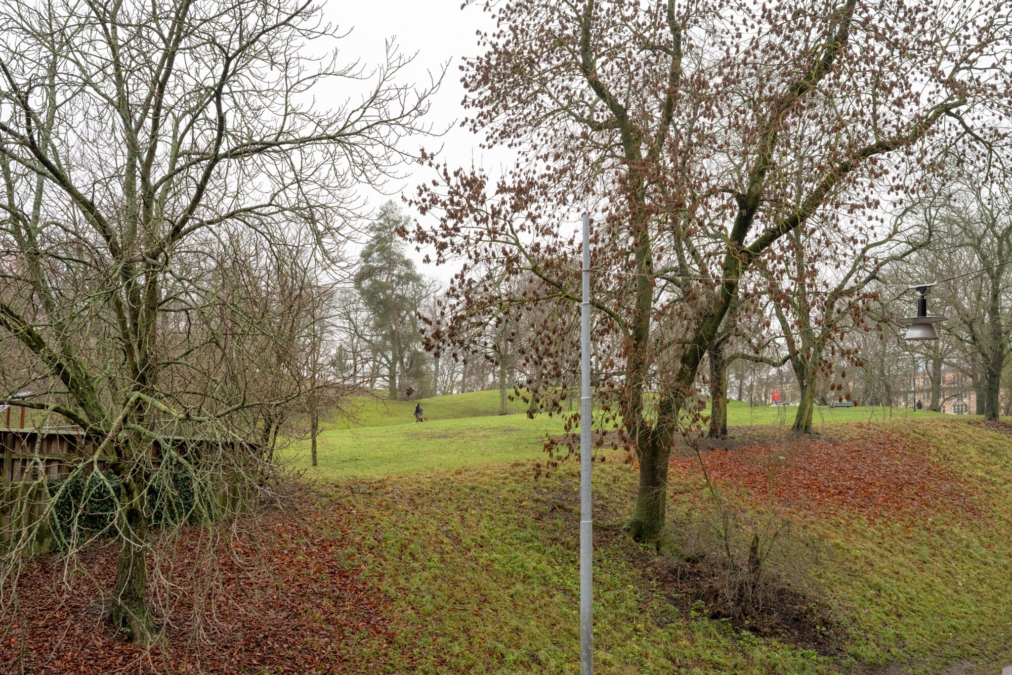 Fri utsikt mot Kronobergsparken Parkgatan 6