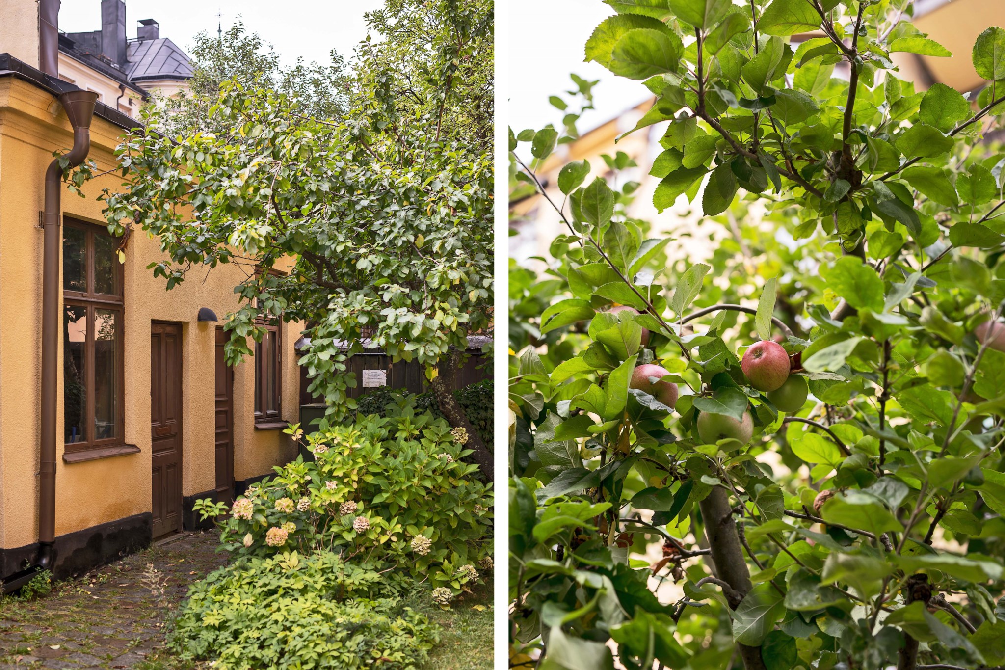 Föreningens innergård sommar Surbrunnsgatan 7, 3 tr