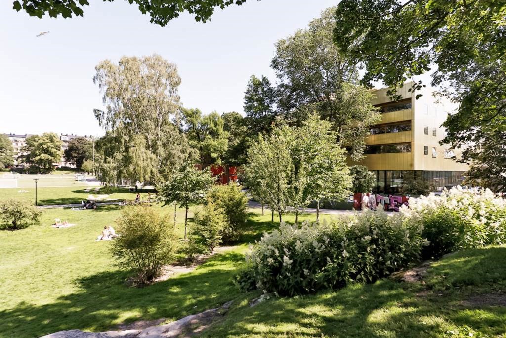 Vasaparken och Odenplan inom en bekväm promenad Tomtebogatan 49