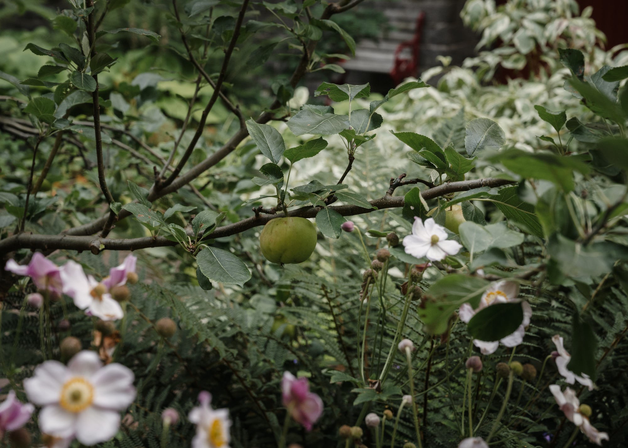 Detaljbild Sankt Eriksgatan 57A, 2tr