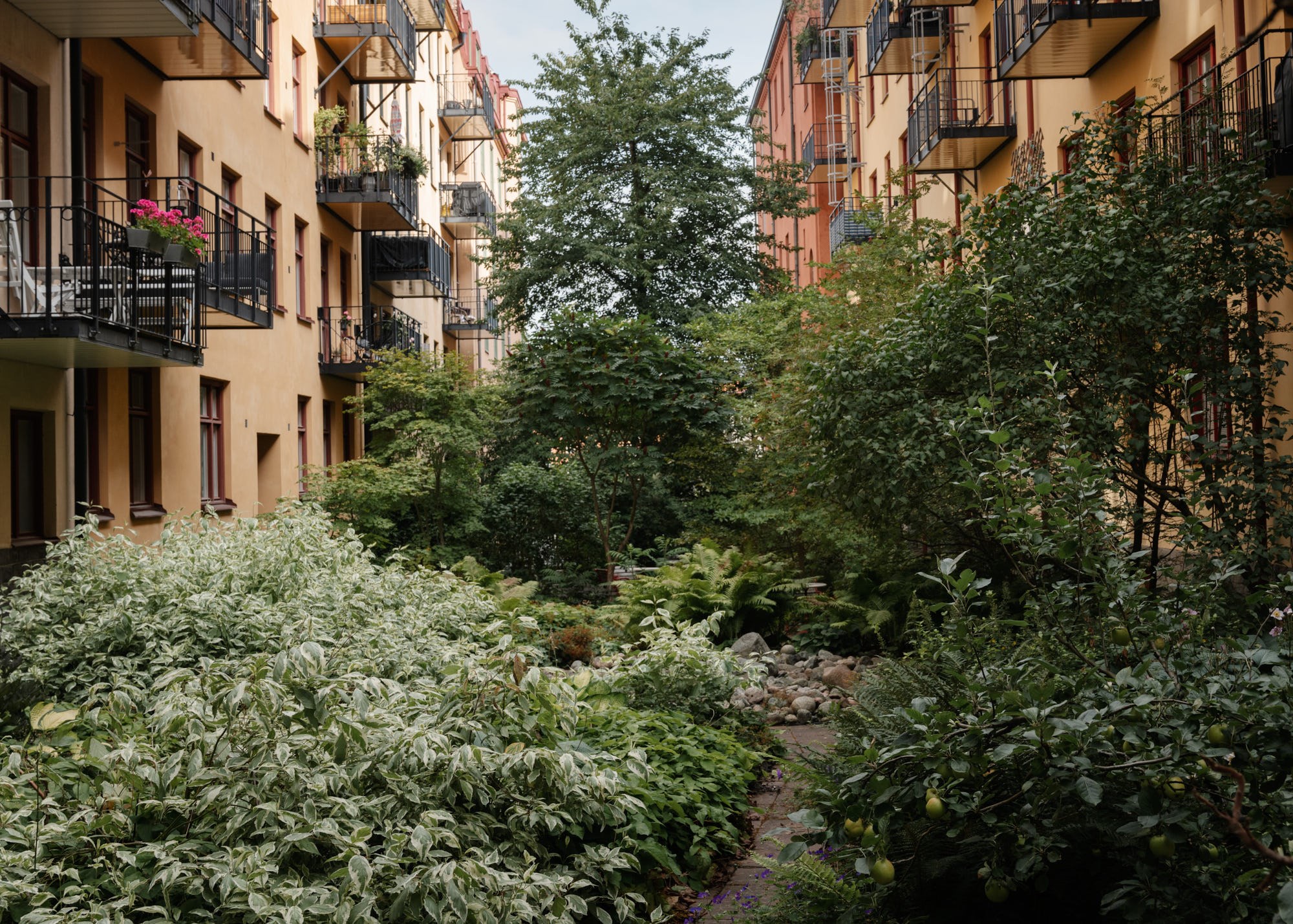 Föreningen lummiga innergård Sankt Eriksgatan 57A, 2tr