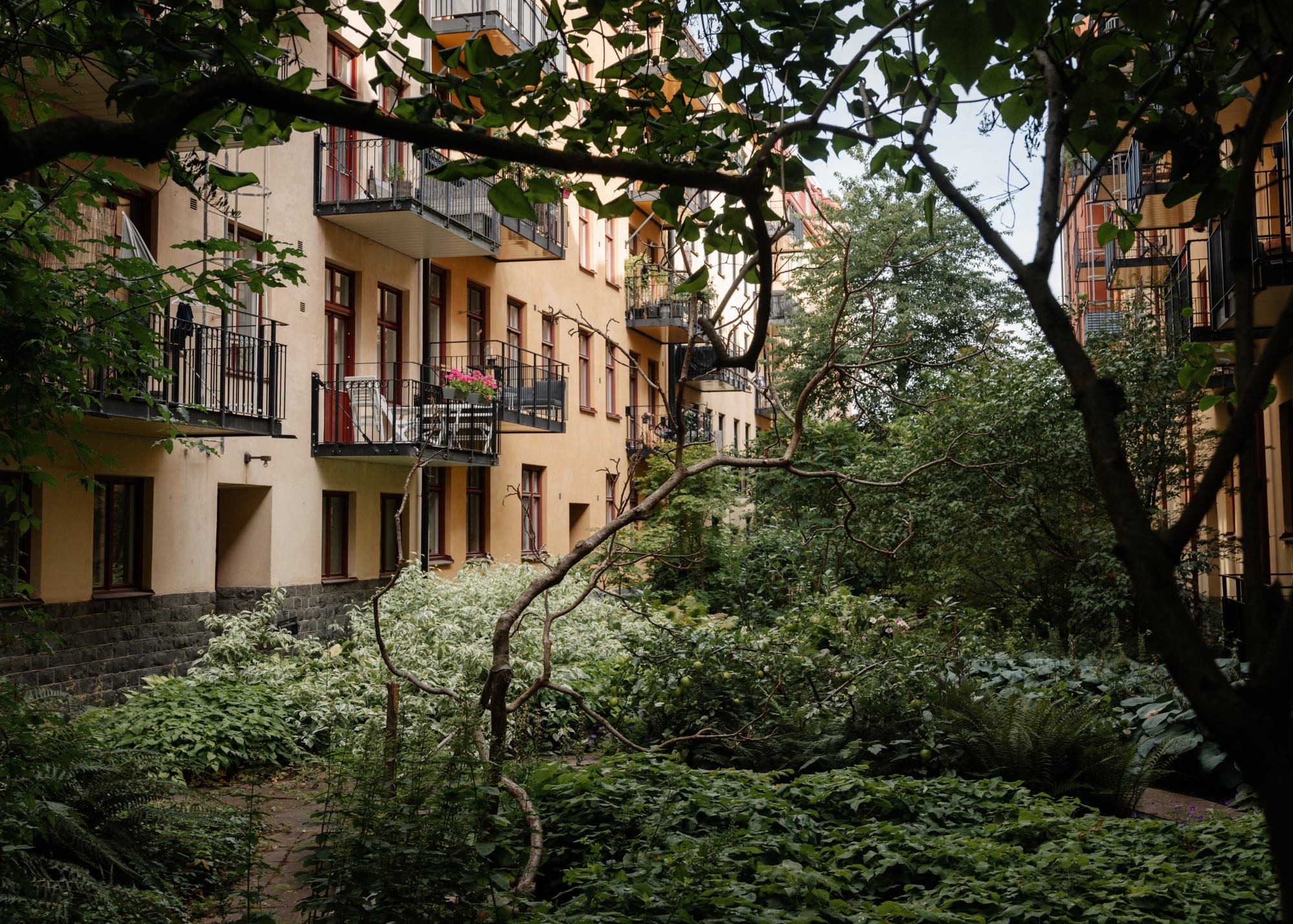 Föreningen lummiga innergård Sankt Eriksgatan 57A, 2tr