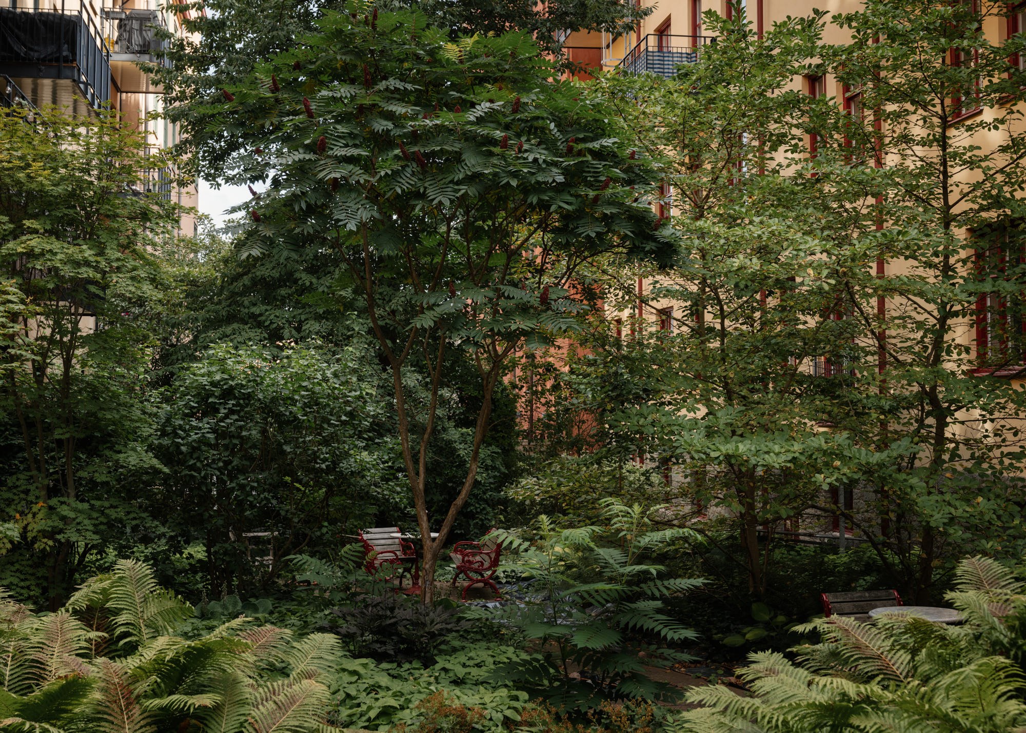 Sittplatser på gården Sankt Eriksgatan 57A, 2tr