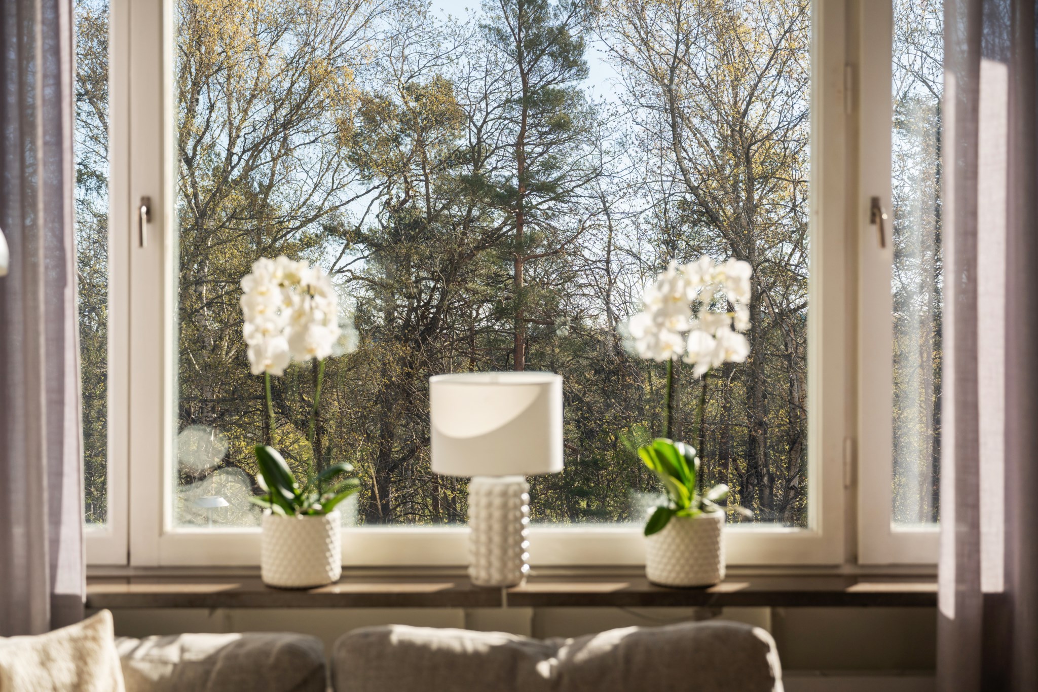 Flödande ljus från stora fönster Kevingeringen 25