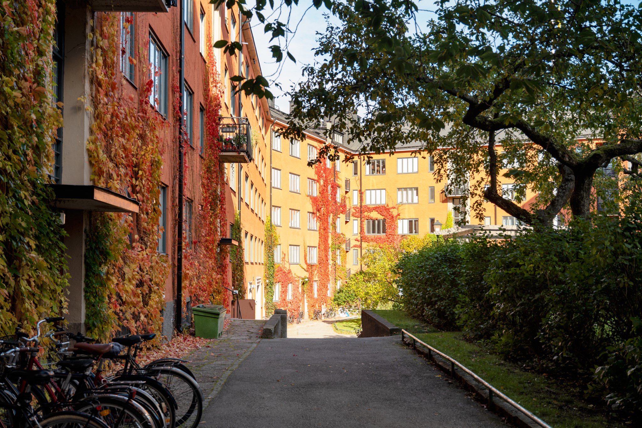 Plats för att ställa cyklar på gården Alströmergatan 32H
