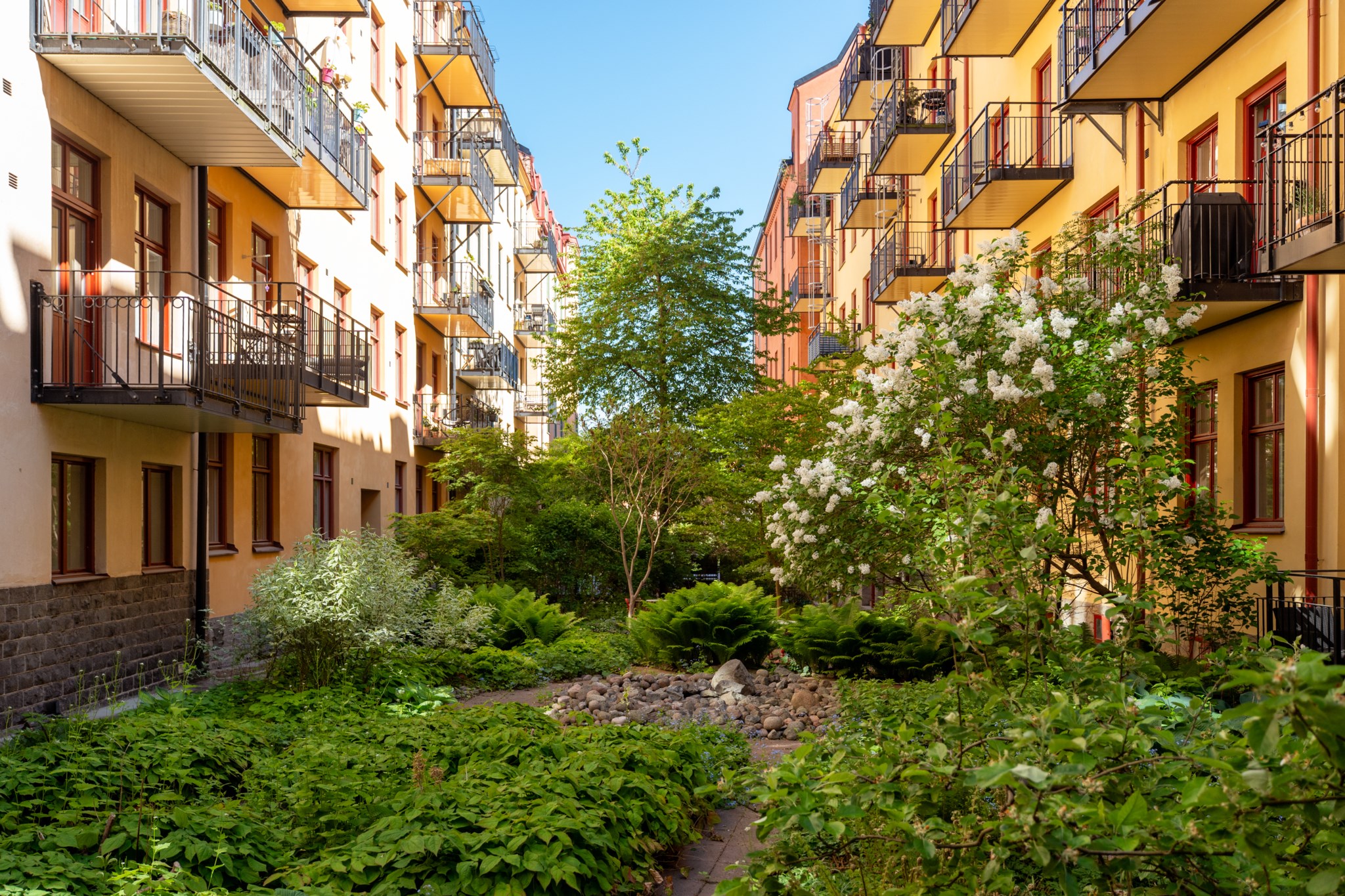 Grönska mellan husen Sankt Eriksgatan 57A