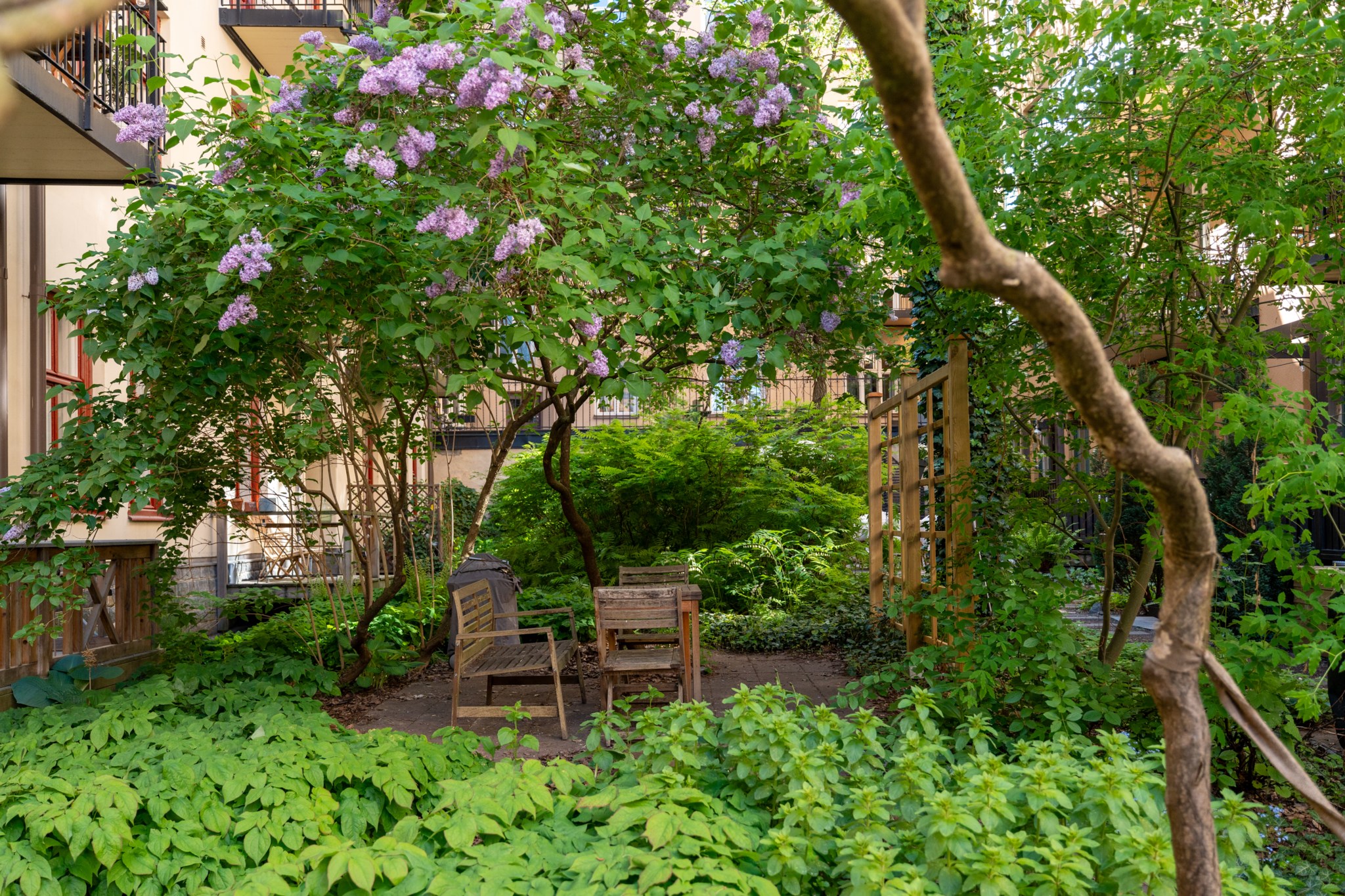 Innergård med sittplatser Sankt Eriksgatan 57A