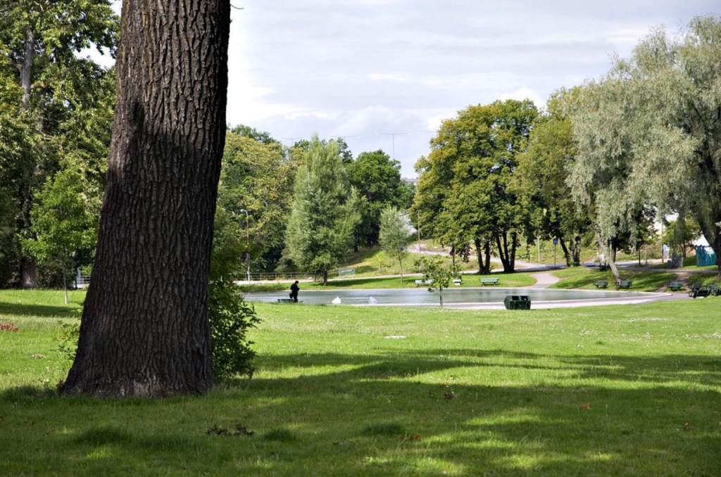 Fredhällsparken utanför fönstret Vitalisvägen 11, 2tr