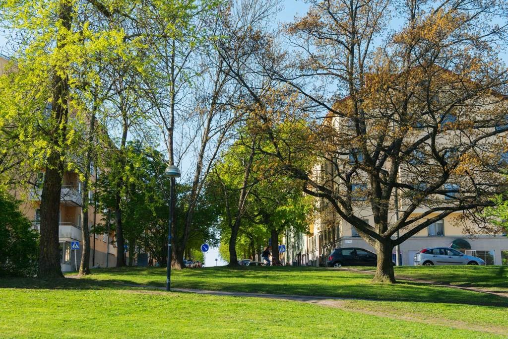 Fina omgivningar Vitalisvägen 11, 2tr