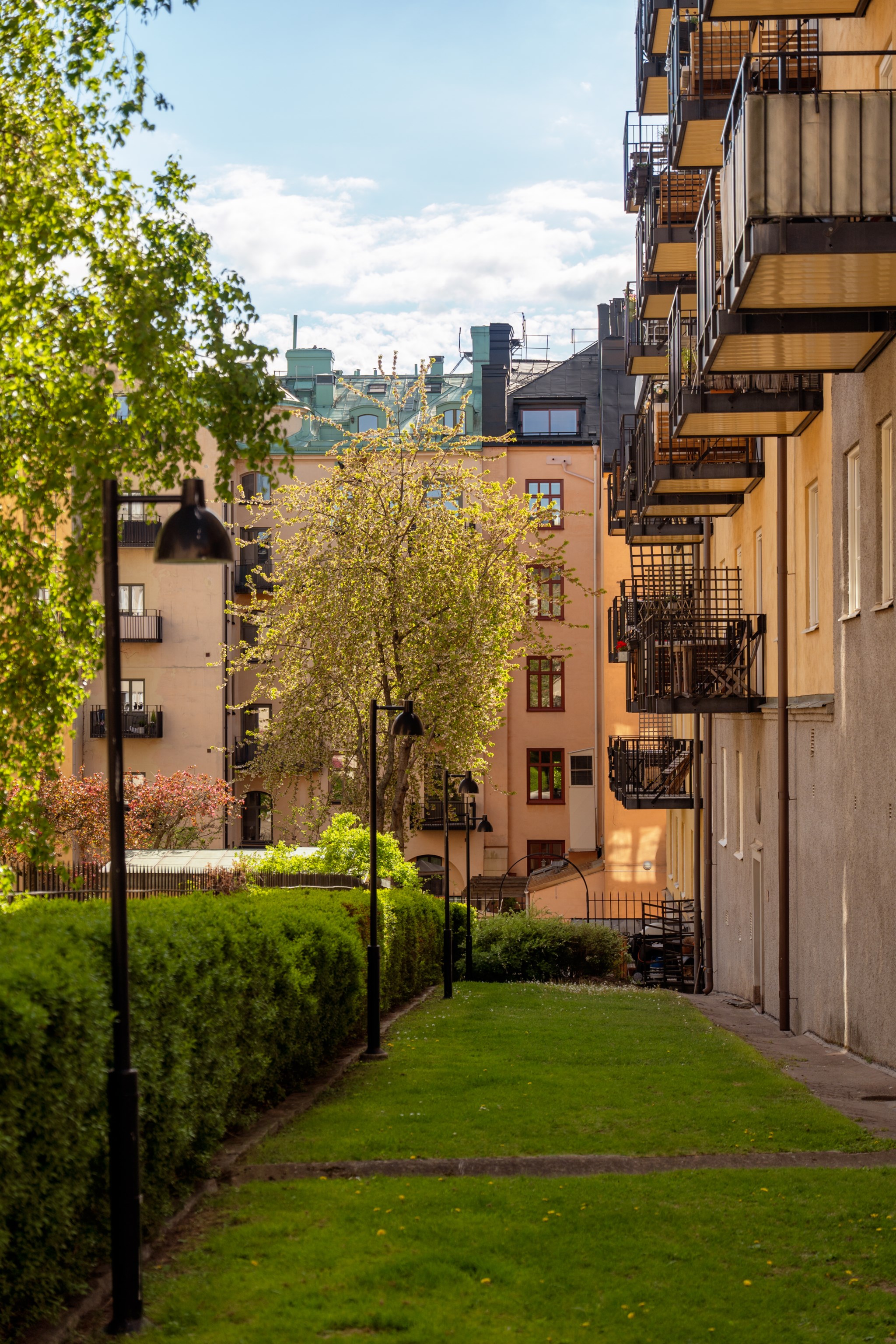 Föreningens bakgård Birger Jarlsgatan 104I