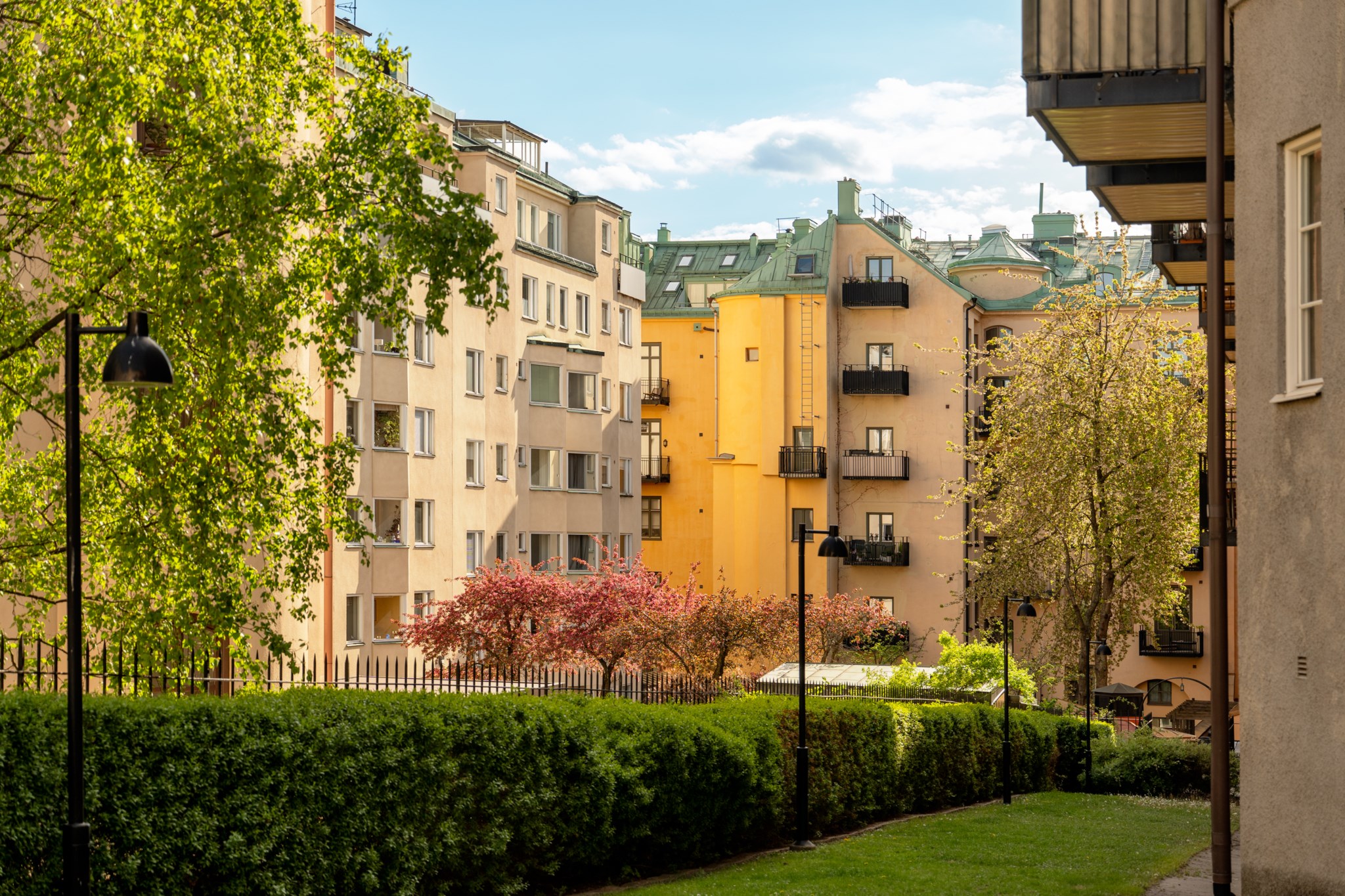 Föreningens lummiga bakgård Birger Jarlsgatan 104I