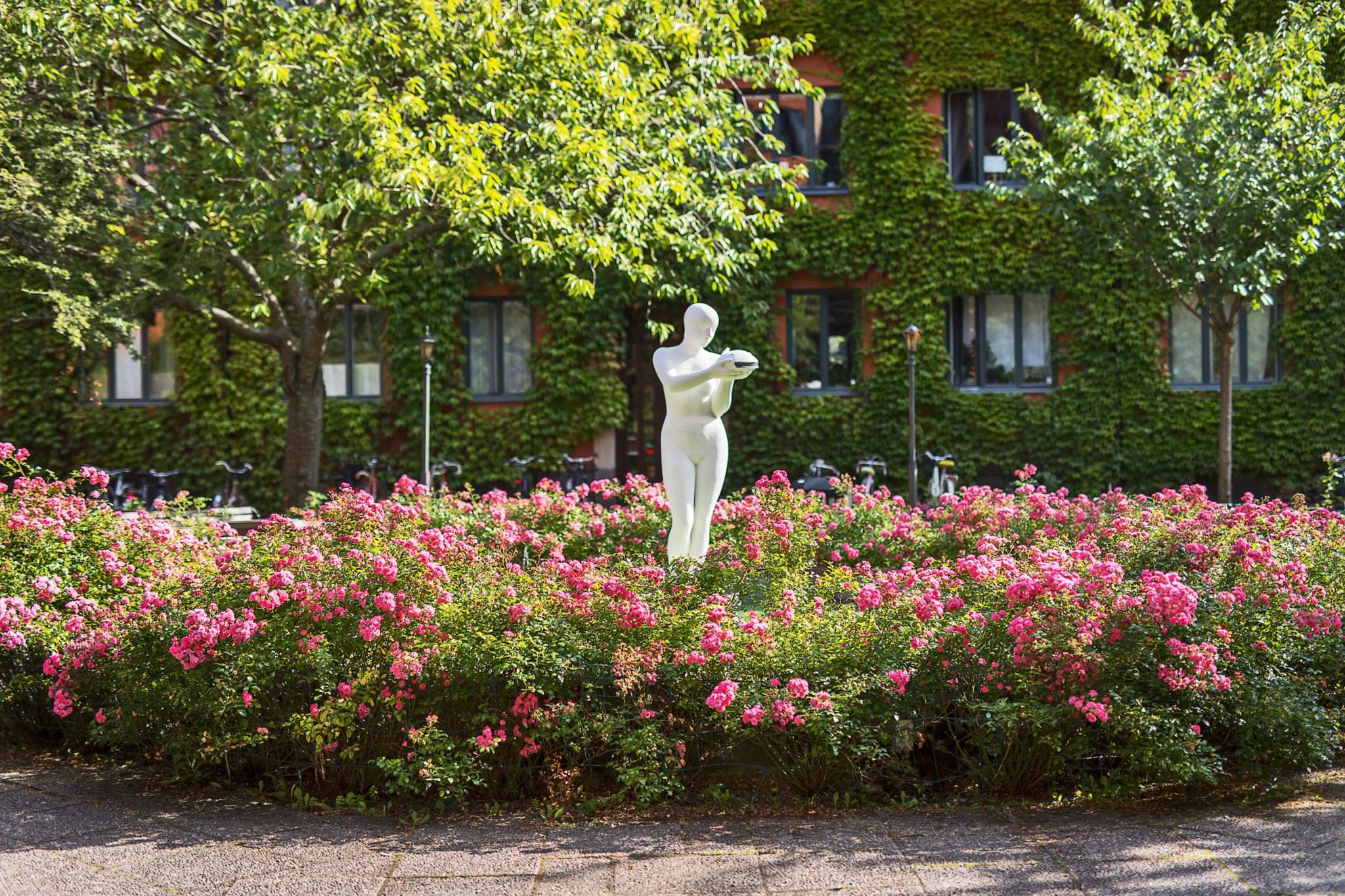 Lummig och blomstrande innergård Alströmergatan 32E, 2,5tr