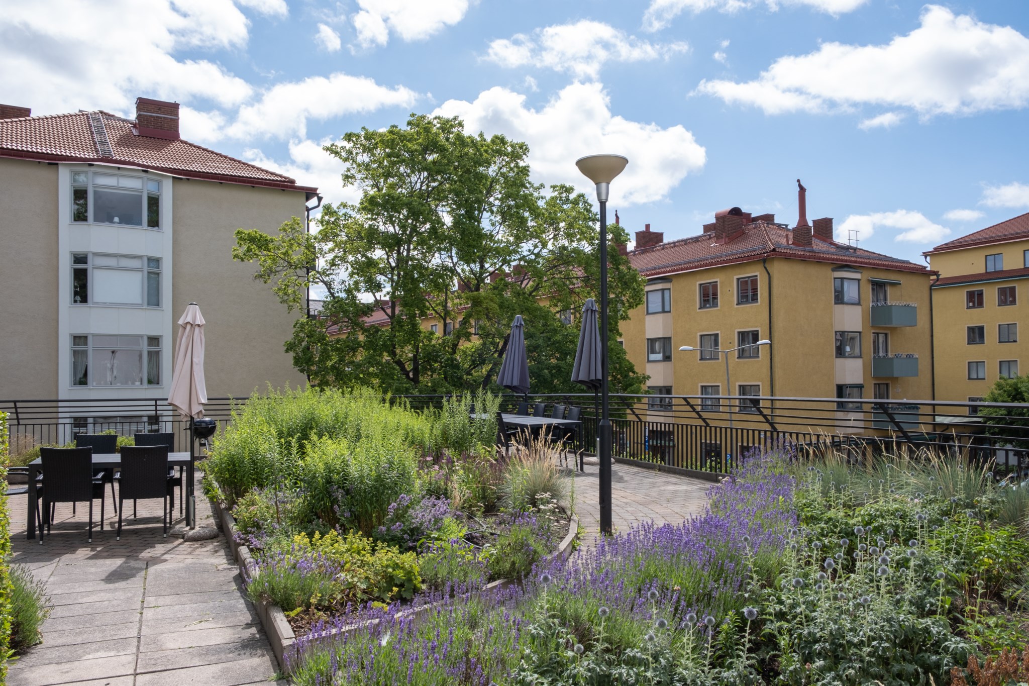 Föreningens gemensamma gård Sandelsgatan 12