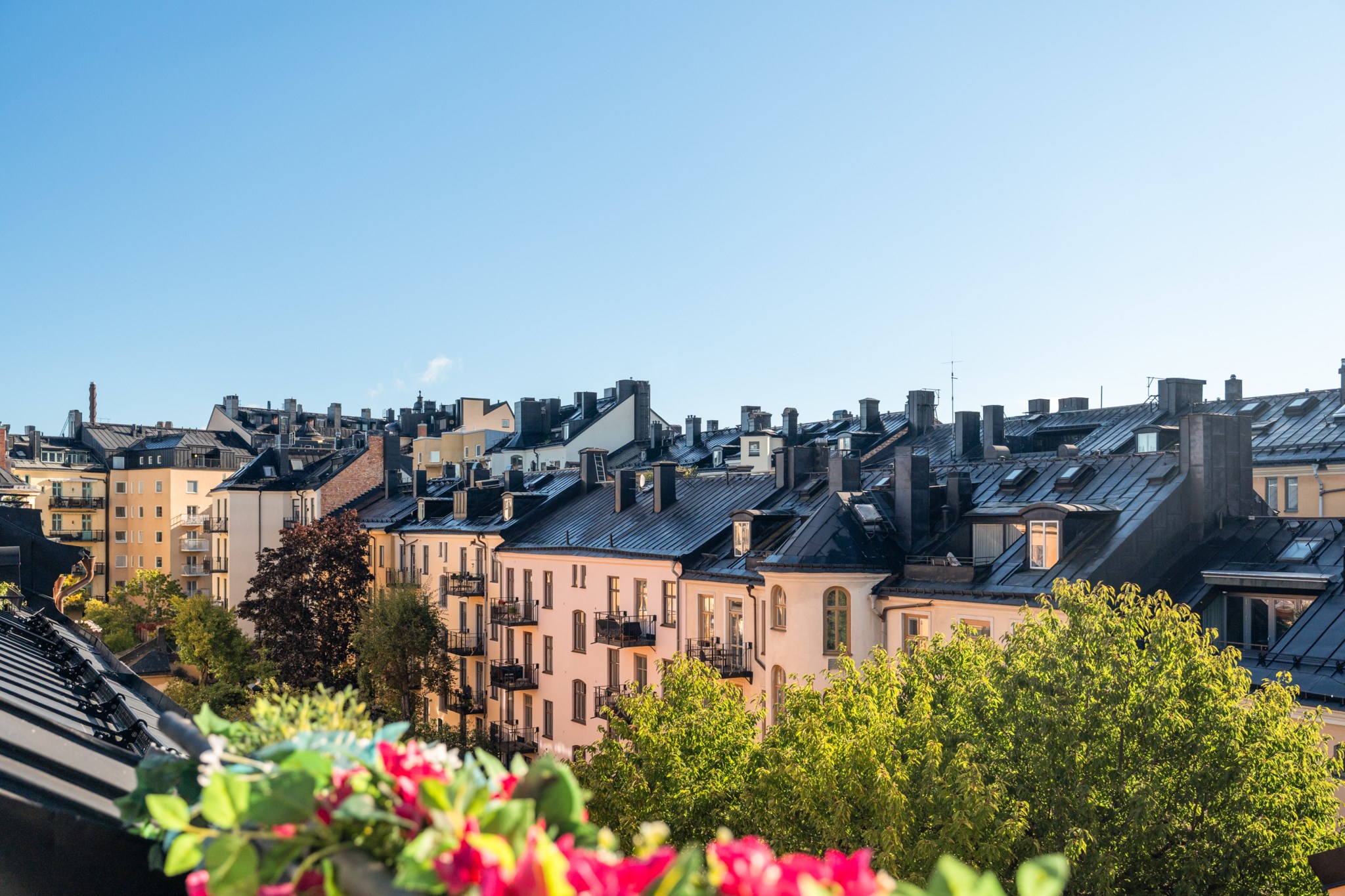 Vacker vy över grönskande gårdar och fina sekelskifteshus Surbrunnsgatan 15, 4 tr